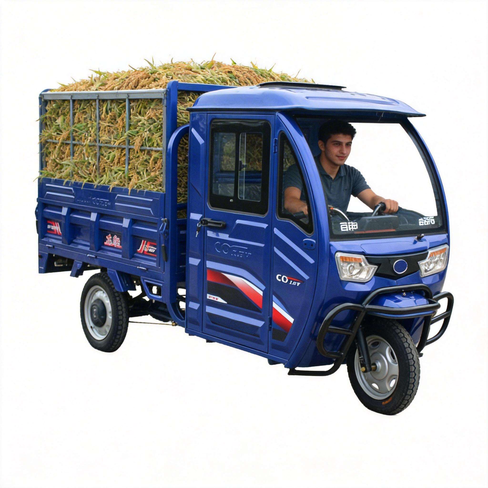 Cargo Vehicle Electric Trike E - Home Improvement Fence 评论和价格